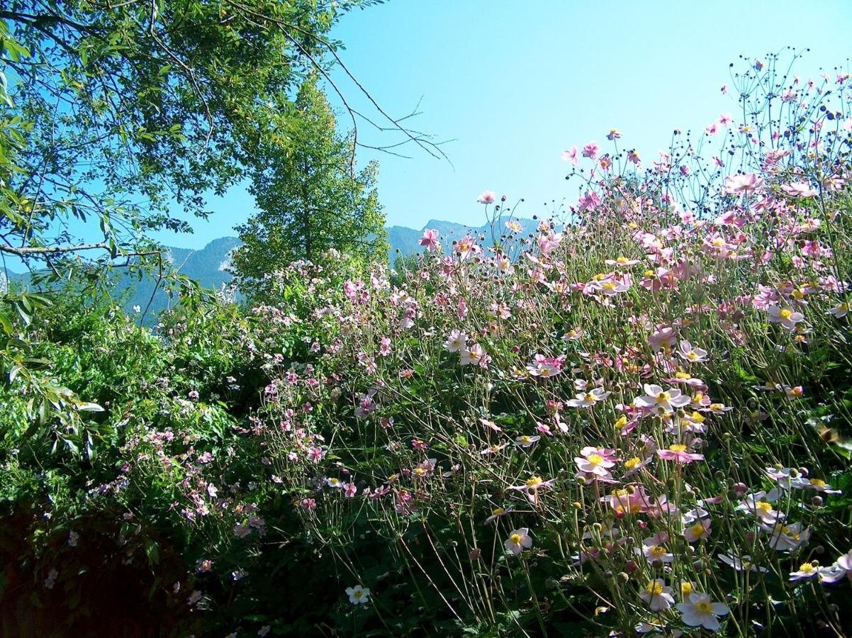 Schlossberghof Marzoll * Bad Reichenhall